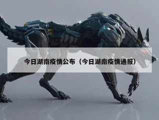 今日湖南疫情公布（今日湖南疫情通报）